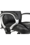 Lumbar massage chair - enlarged view