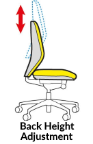 Function - Back Height Adjustment