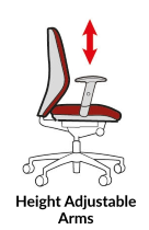 Function - Height Adjustable Arms