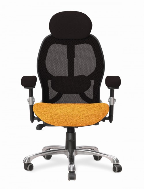 Ergo 24 Hour Chair Luxury Executive Mesh Office Chair Solano ERGO/YP110/BK - enlarged view