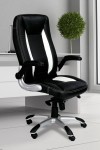 Black Office Chair Friesian High Back Executive Chair BCP/4025/BWH by Eliza Tinsley - enlarged view