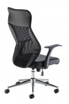 Fonseca II Executive Mesh Office Chair CH2404BK by TC Office - enlarged view