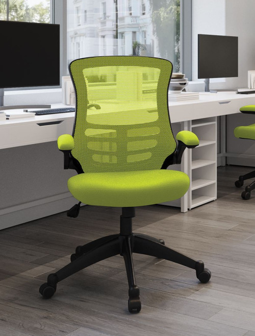 Mesh Office Chair Green Luna Computer Chair BCM/L1302/GN by Eliza Tinsley