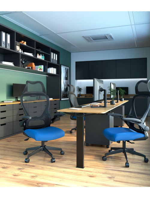 Mesh Office Chair Blue Canis Computer Chair BCM/K540/BK-BL by Eliza Tinsley Nautilus