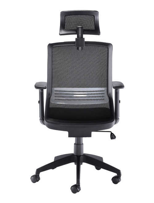 Mesh Office Chair Black Denali Executive Chair with Headrest CH3300BK by TC Office - enlarged view