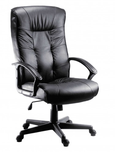 Office Chairs Gloucester Executive Armchair 8507 by Teknik